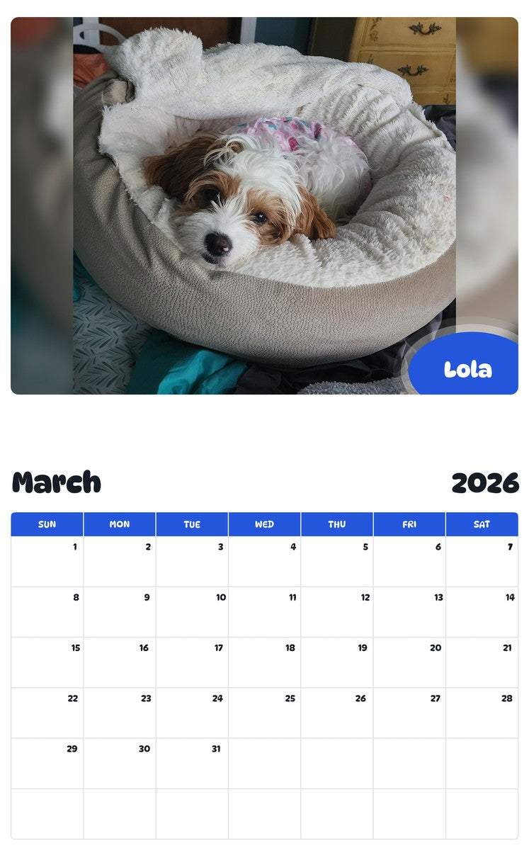 November 2025 - October 2026 Lola - Pawidols Pet Calendar