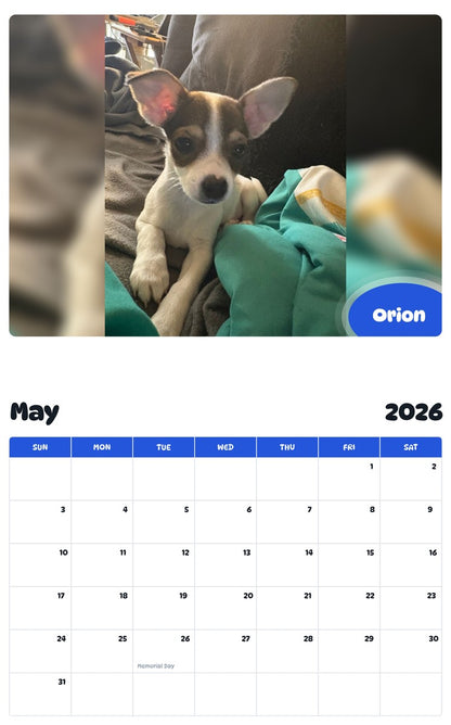 2026 - 2027 Orion - Pawidols Pet Calendar