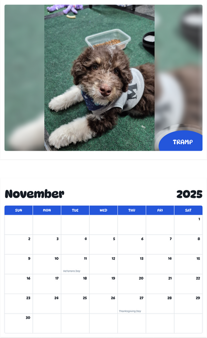 July 2025 - June 2026 Tramp - Pawidols Pet Calendar