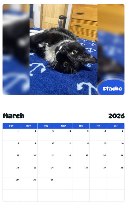 November 2025 - October 2026 Stache - Pawidols Pet Calendar