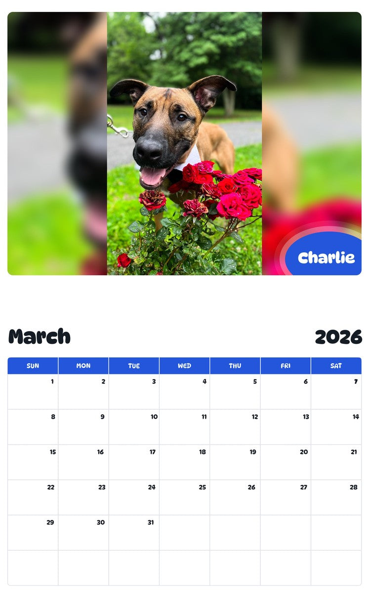 November 2025 - October 2026 Charlie - Pawidols Pet Calendar