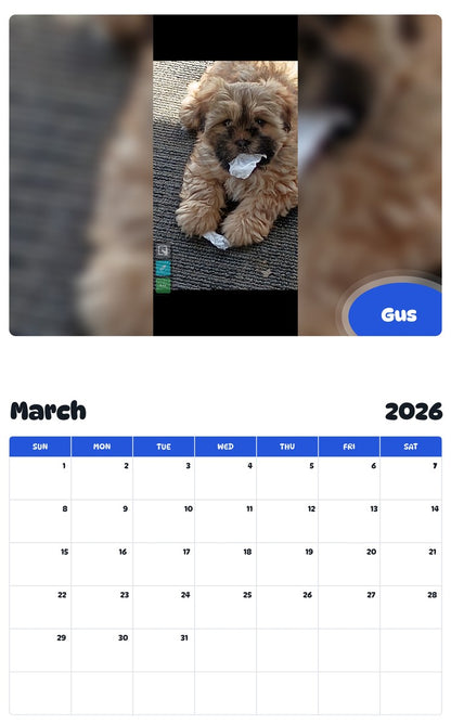 November 2025 - October 2026 Gus - Pawidols Pet Calendar