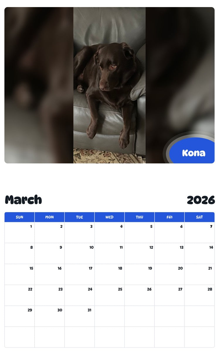 November 2025 - October 2026 Kona - Pawidols Pet Calendar