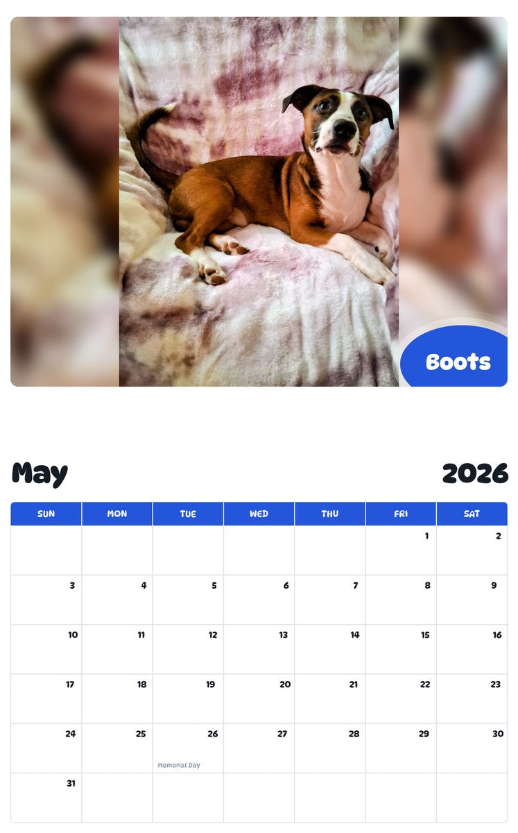 2026 - 2027 Boots - Pawidols Pet Calendar
