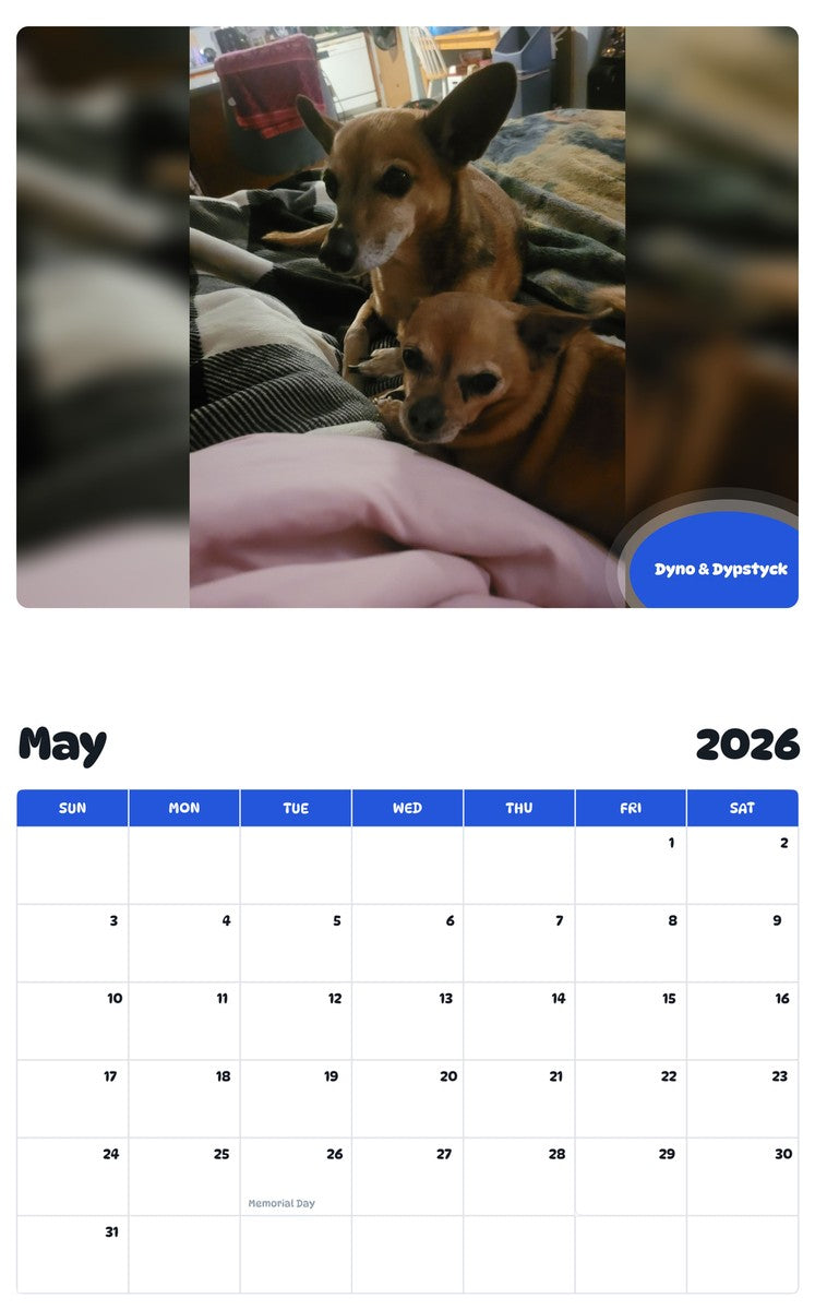 2026 - 2027 Dyno & Dypstyck - Pawidols Pet Calendar