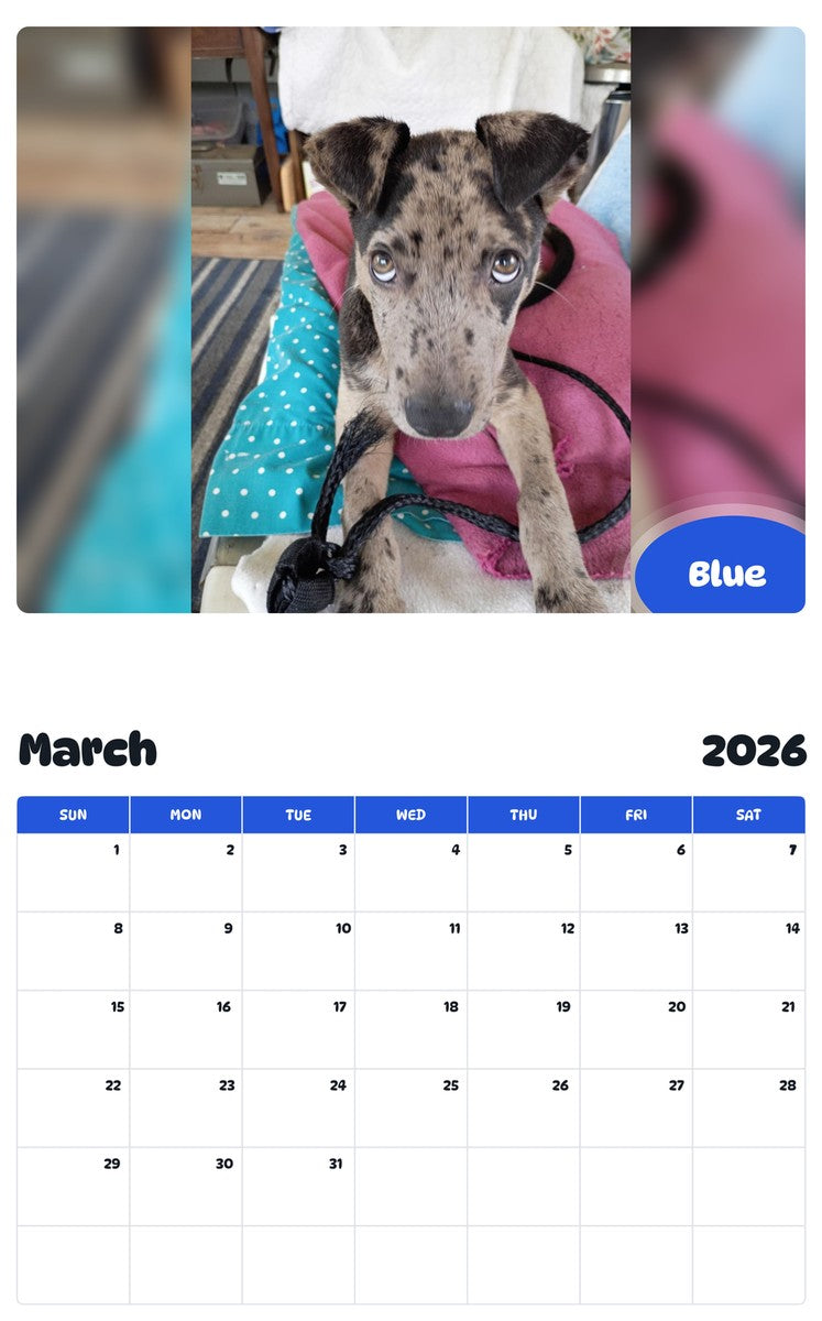 November 2025 - October 2026 Blue - Pawidols Pet Calendar