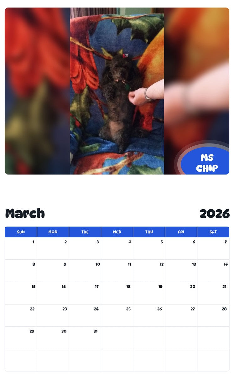 November 2025 - October 2026 MS CHIP - Pawidols Pet Calendar