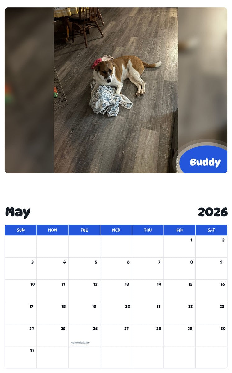 2026 - 2027 Buddy - Pawidols Pet Calendar