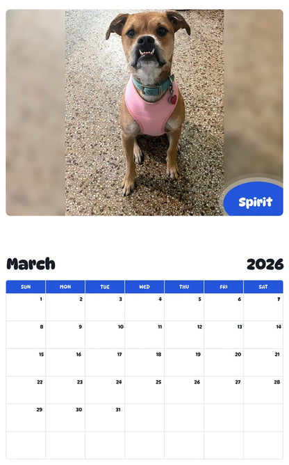 November 2025 - October 2026 Spirit - Pawidols Pet Calendar