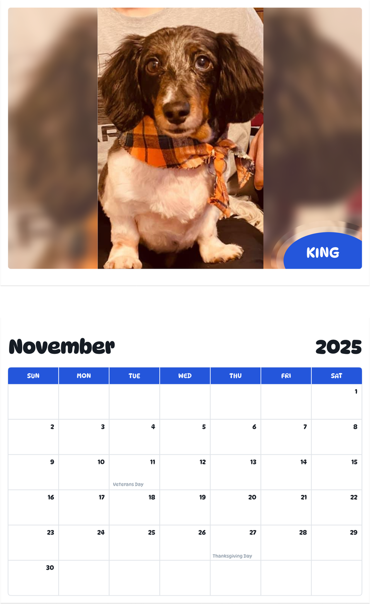 July 2025 - June 2026 King - Pawidols Pet Calendar