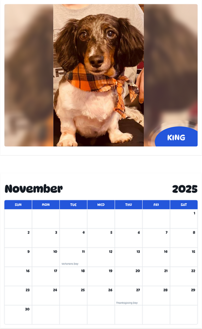 July 2025 - June 2026 King - Pawidols Pet Calendar