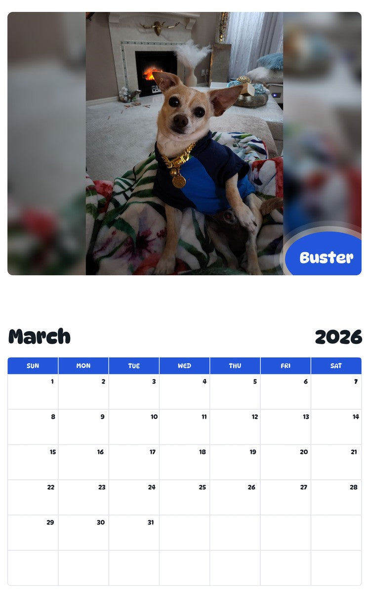November 2025 - October 2026 Buster - Pawidols Pet Calendar