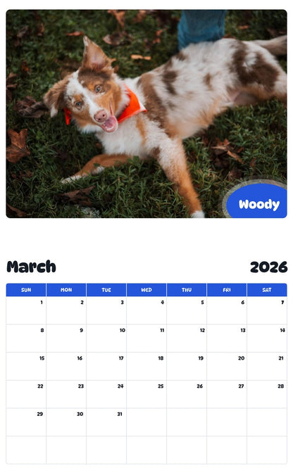 November 2025 - October 2026 Woody - Pawidols Pet Calendar