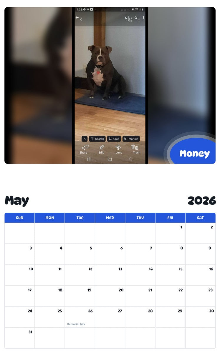 2026 - 2027 Money - Pawidols Pet Calendar