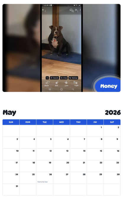 2026 - 2027 Money - Pawidols Pet Calendar