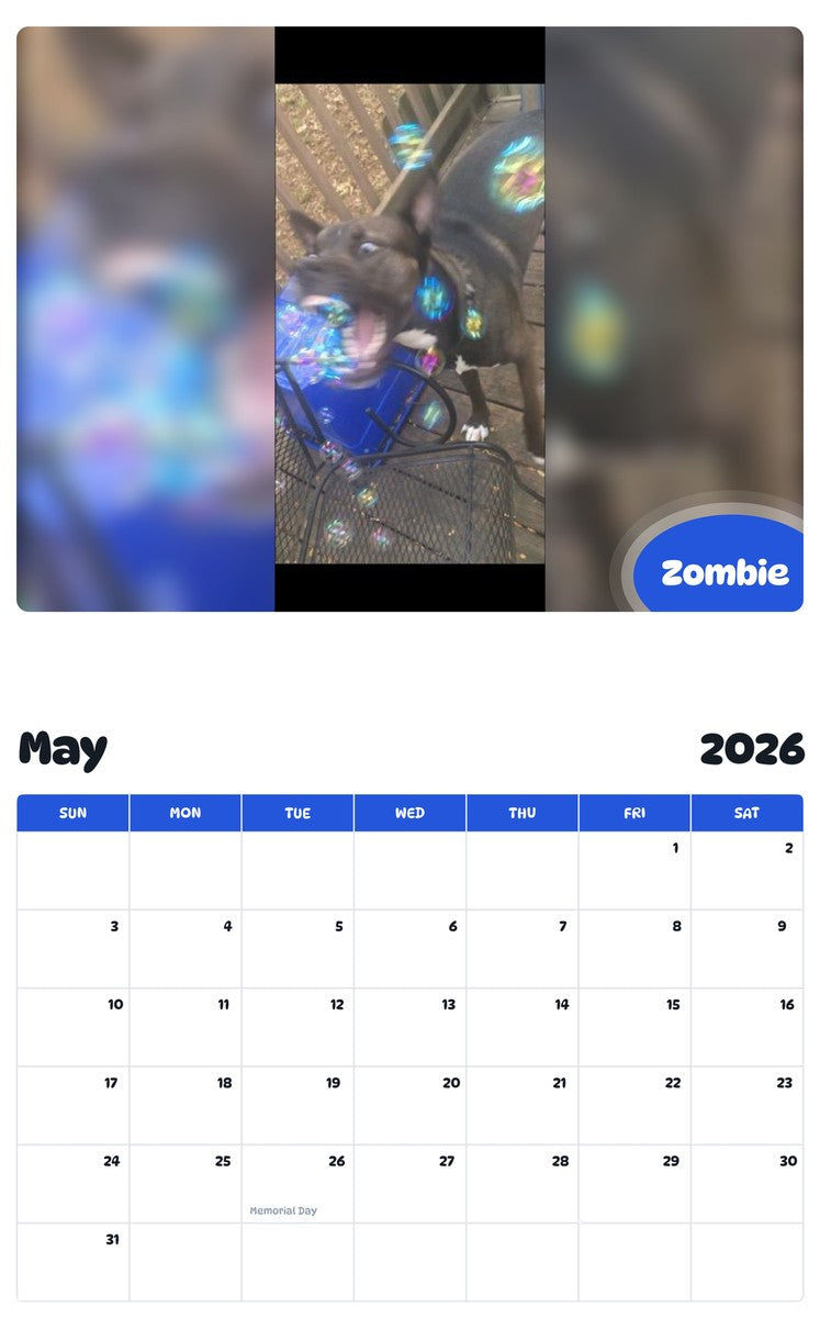 2026 - 2027 Zombie - Pawidols Pet Calendar