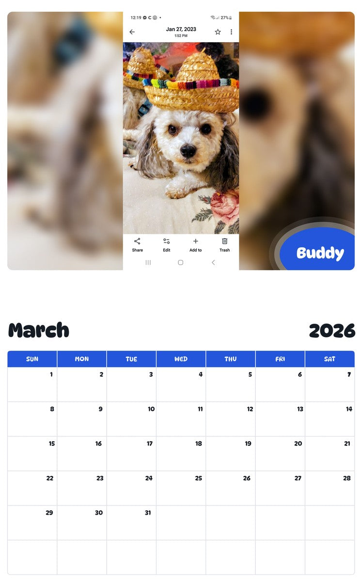 November 2025 - October 2026 Buddy - Pawidols Pet Calendar