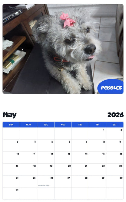 2026 - 2027 PEBBLES - Pawidols Pet Calendar