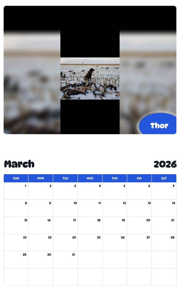 November 2025 - October 2026 Thor - Pawidols Pet Calendar