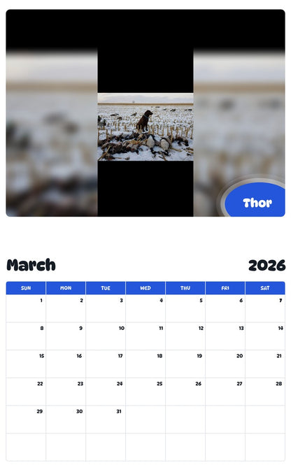 November 2025 - October 2026 Thor - Pawidols Pet Calendar