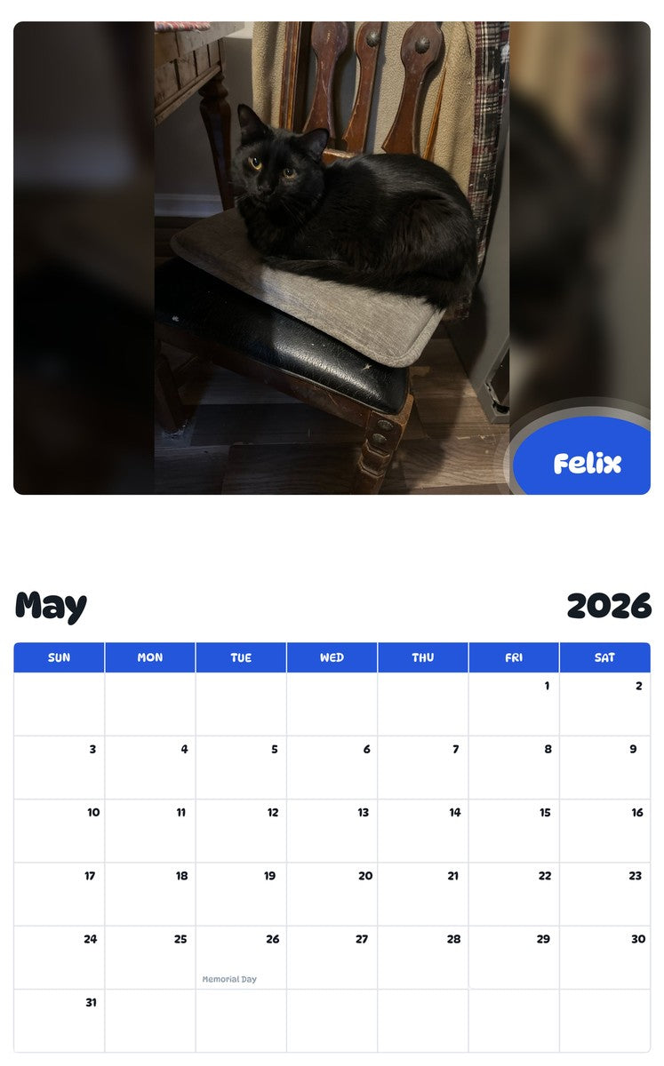 2026 - 2027 Felix - Pawidols Pet Calendar