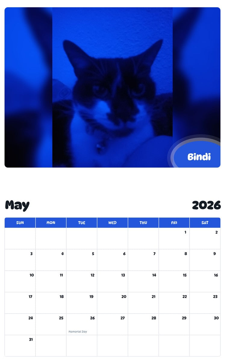 2026 - 2027 Bindi - Pawidols Pet Calendar
