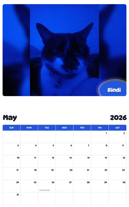 2026 - 2027 Bindi - Pawidols Pet Calendar