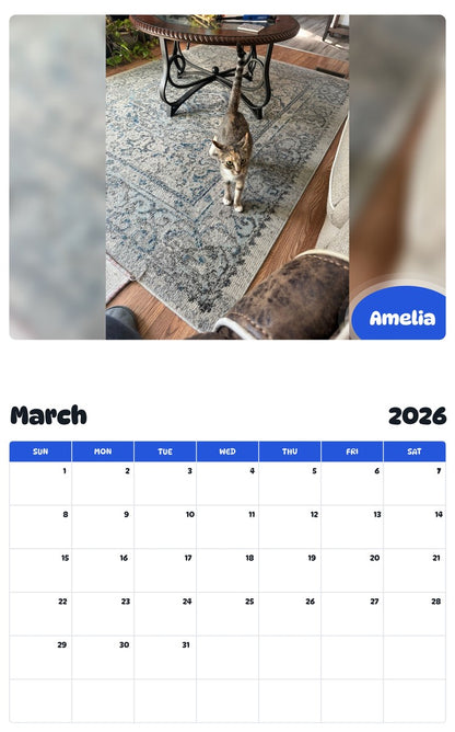 November 2025 - October 2026 Amelia - Pawidols Pet Calendar