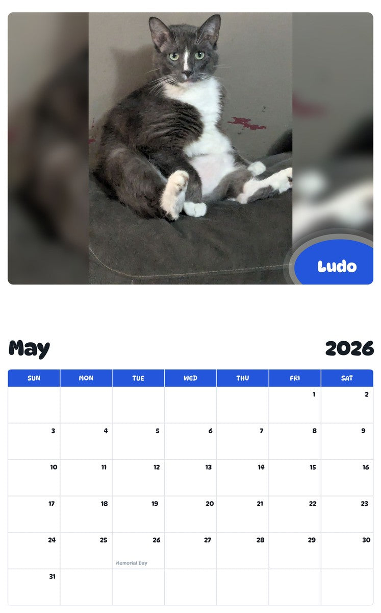 2026 - 2027 Ludo - Pawidols Pet Calendar