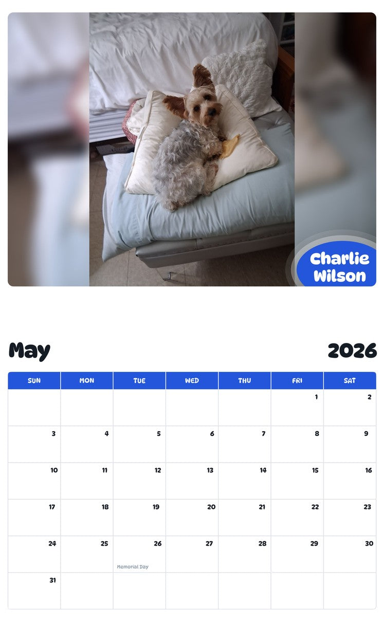 2026 - 2027 Charlie Wilson - Pawidols Pet Calendar