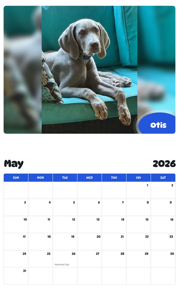 2026 - 2027 Otis - Pawidols Pet Calendar