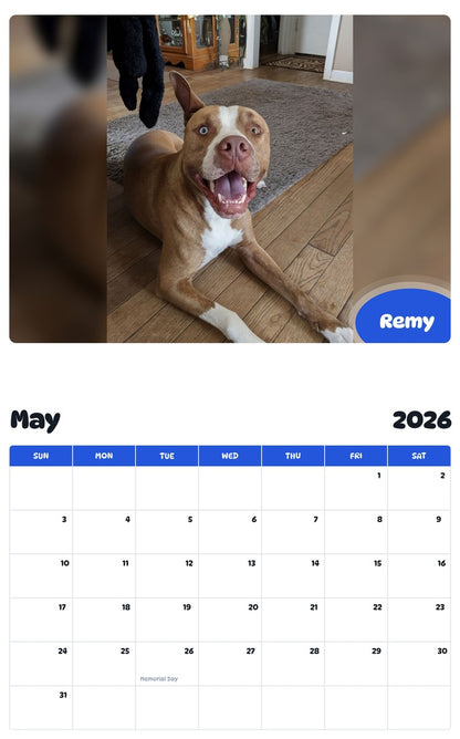 2026 - 2027 Remy - Pawidols Pet Calendar
