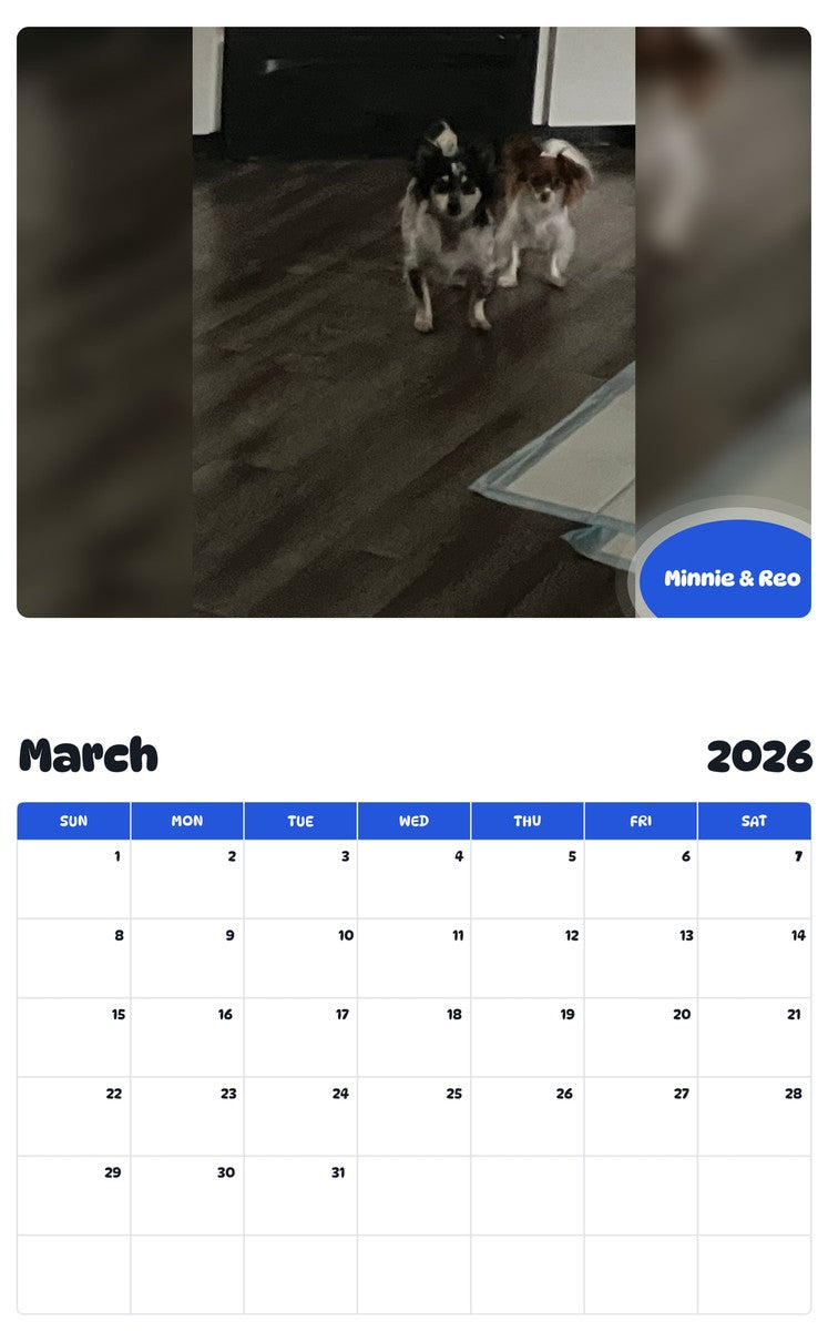 November 2025 - October 2026 Minnie & Reo - Pawidols Pet Calendar