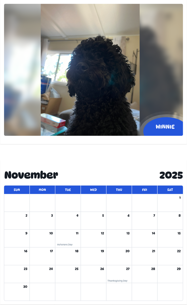 July 2025 - June 2026 Winnie - Pawidols Pet Calendar
