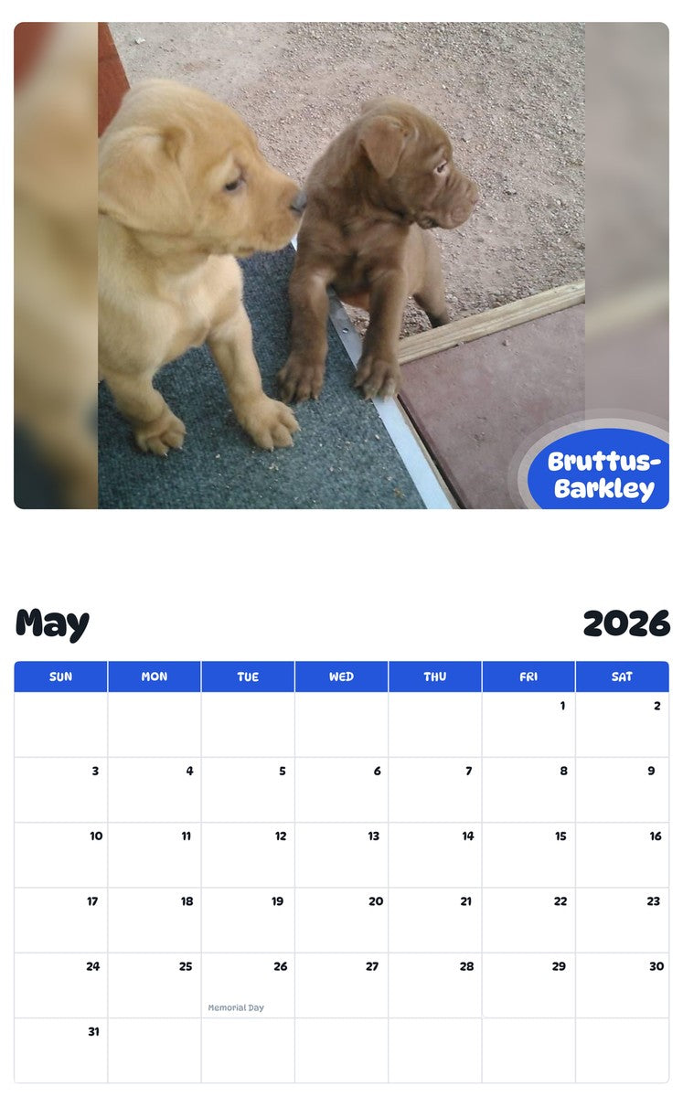 2026 - 2027 Bruttus-Barkley - Pawidols Pet Calendar
