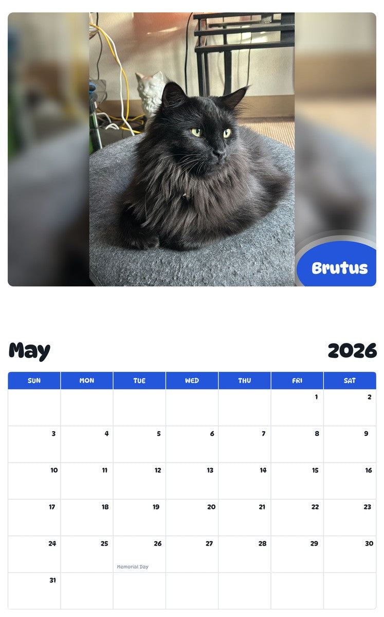 2026 - 2027 Brutus - Pawidols Pet Calendar