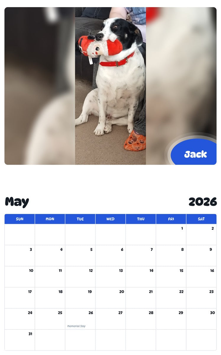 2026 - 2027 Jack - Pawidols Pet Calendar
