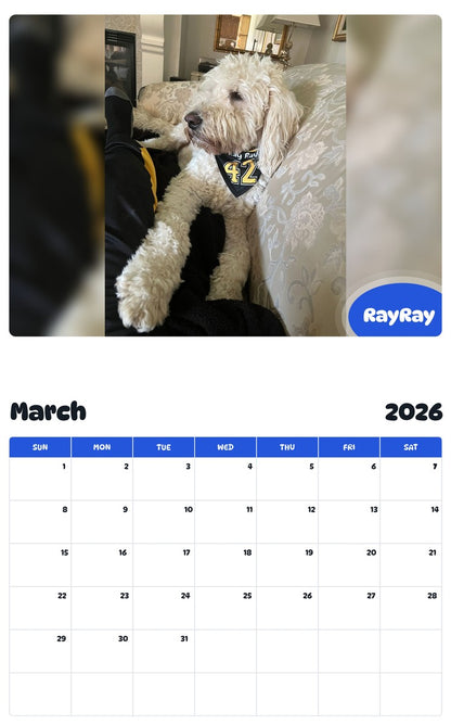 November 2025 - October 2026 RayRay - Pawidols Pet Calendar