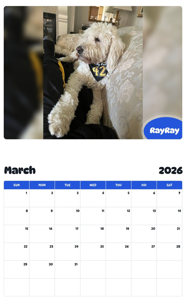 November 2025 - October 2026 RayRay - Pawidols Pet Calendar
