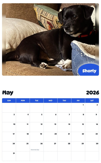 2026 - 2027 Shorly - Pawidols Pet Calendar