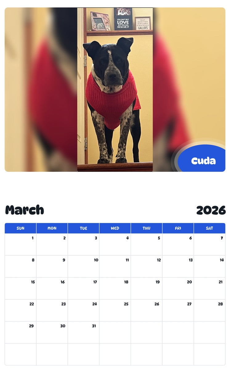 November 2025 - October 2026 Cuda - Pawidols Pet Calendar