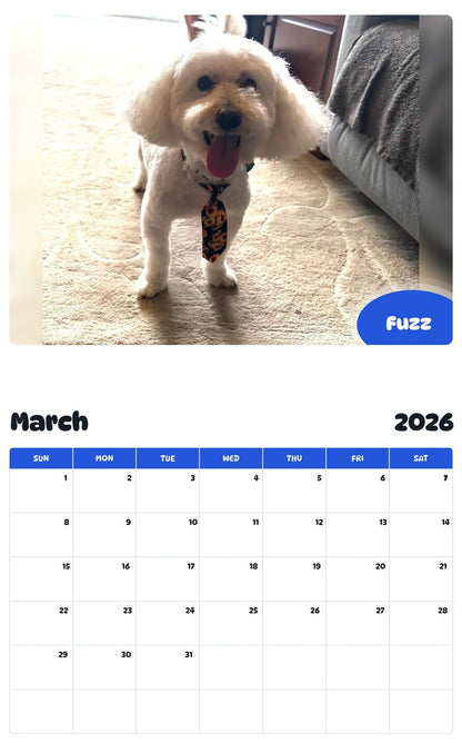 November 2025 - October 2026 Fuzz - Pawidols Pet Calendar