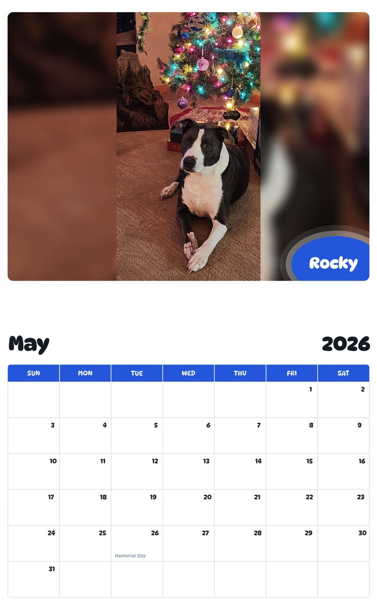 2026 - 2027 Rocky - Pawidols Pet Calendar