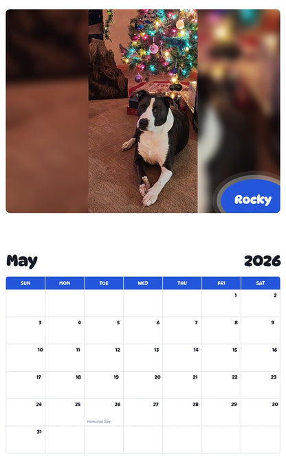 2026 - 2027 Rocky - Pawidols Pet Calendar