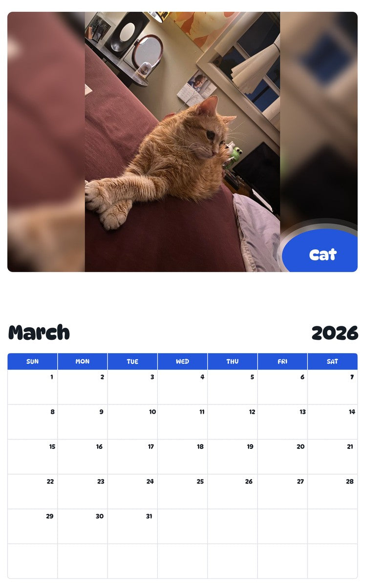November 2025 - October 2026 Cat - Pawidols Pet Calendar
