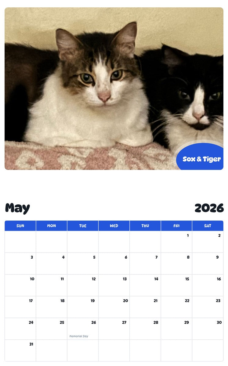 2026 - 2027 Sox & Tiger - Pawidols Pet Calendar