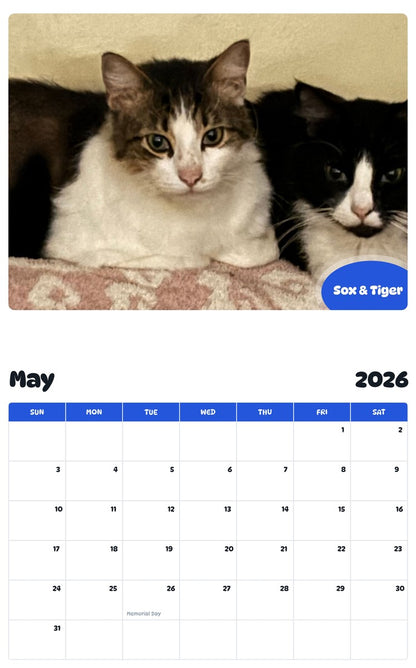 2026 - 2027 Sox & Tiger - Pawidols Pet Calendar