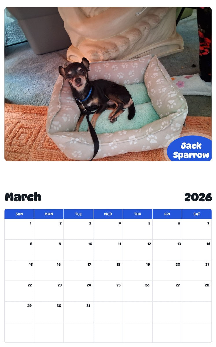 November 2025 - October 2026 Jack Sparrow - Pawidols Pet Calendar