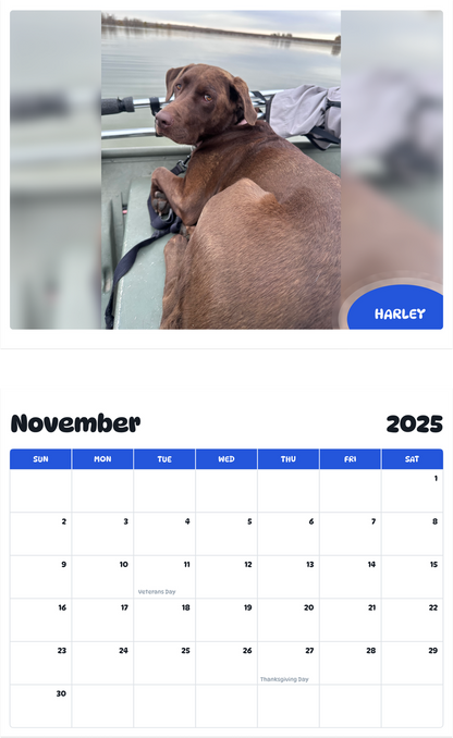 July 2025 - June 2026 Harley - Pawidols Pet Calendar