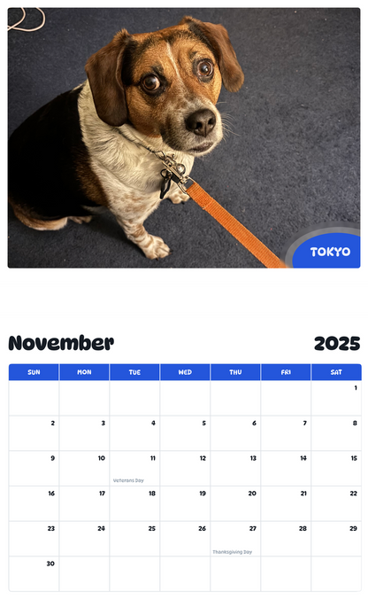 July 2025 - June 2026 Tokyo - Pawidols Pet Calendar